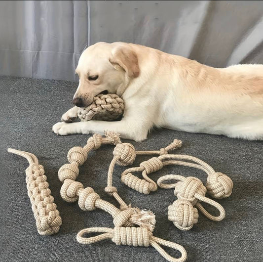 Rope Toy