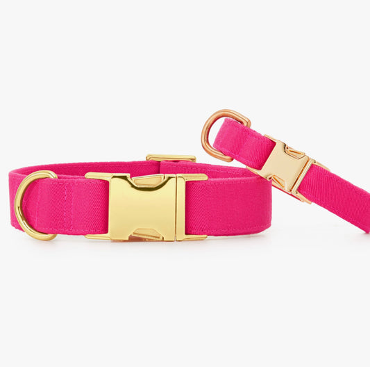 Foggy Dog Hot Pink Dog Collar