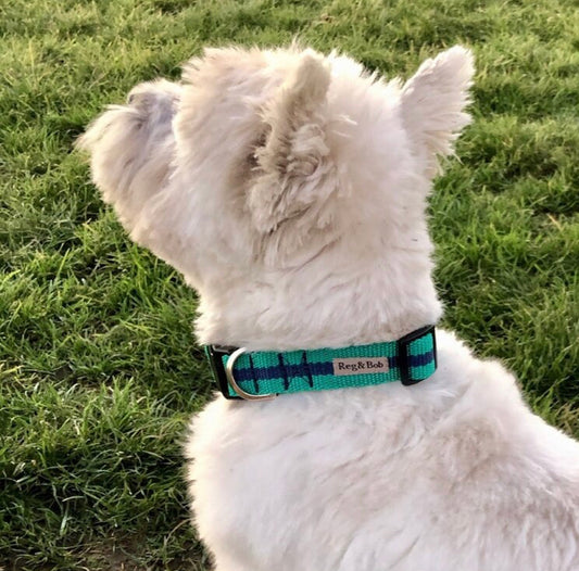 Reg & Bob - Green Dog Collar