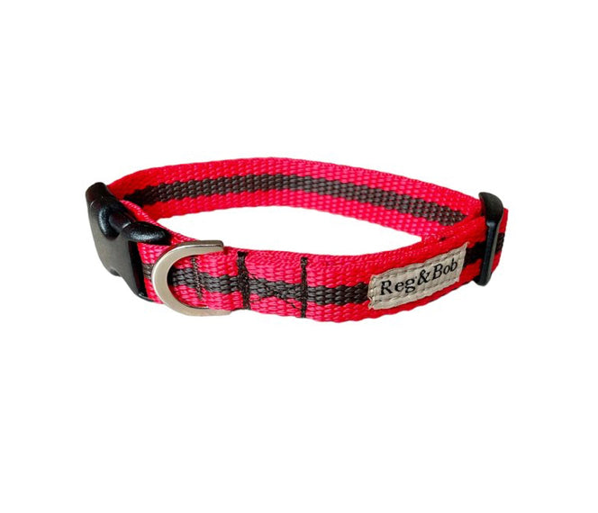 Reg & Bob - Red Dog Collar