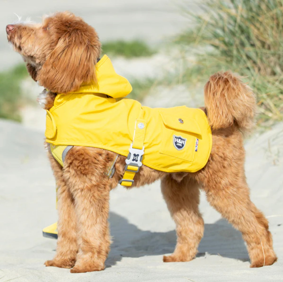 Raincoat - Yellow