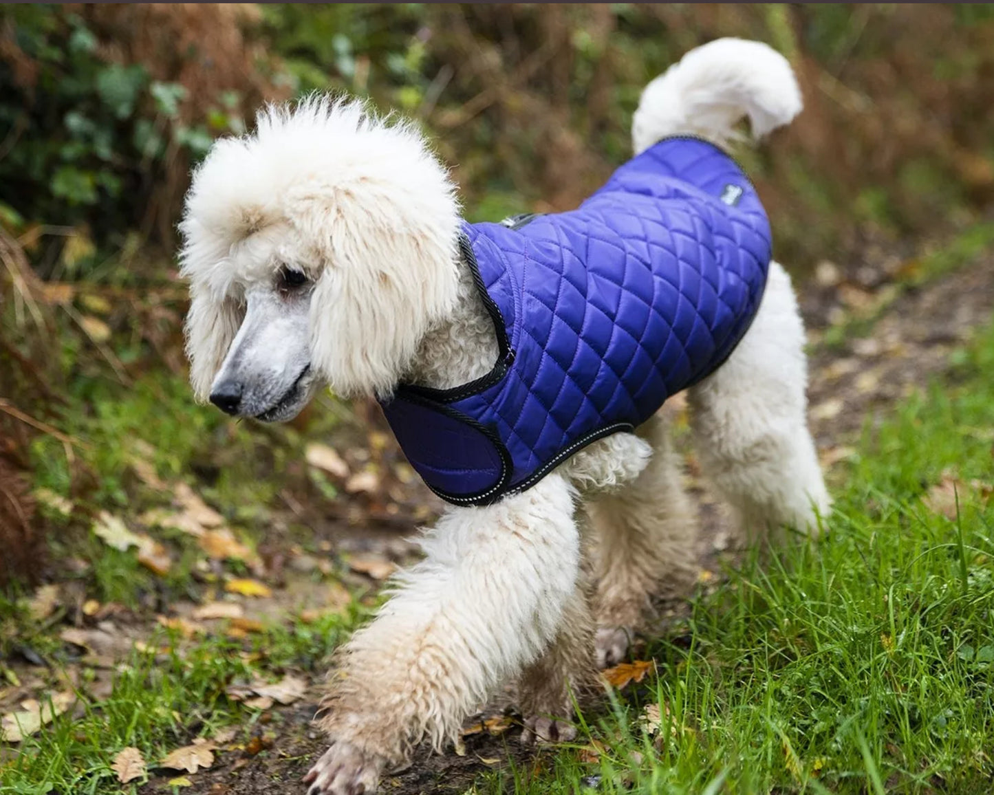 Quilted Dog Coat - Purple